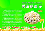 酵素绿豆芽 健康营养之选