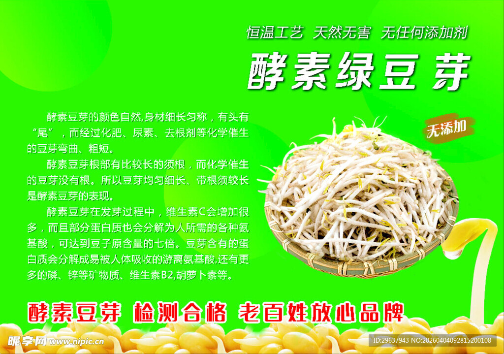 酵素绿豆芽 健康营养之选