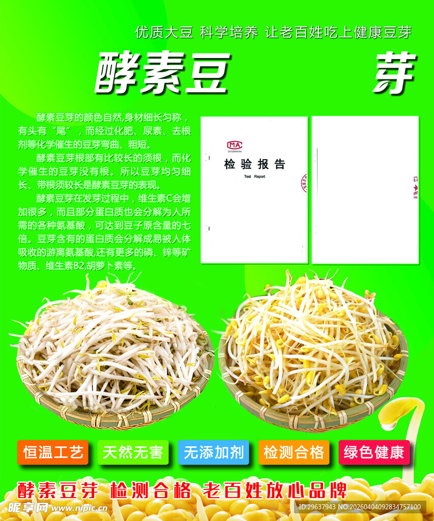 酵素豆芽宣传海报