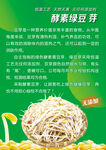鲜嫩绿豆芽 开启健康美味