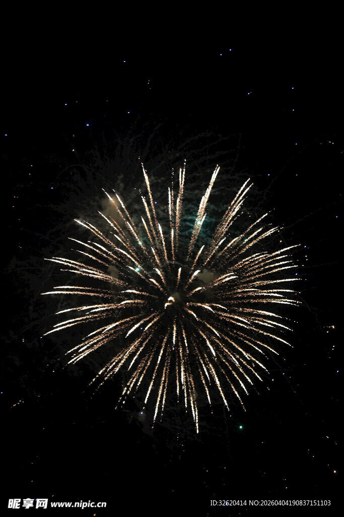 夜空中绽放的绚丽烟花