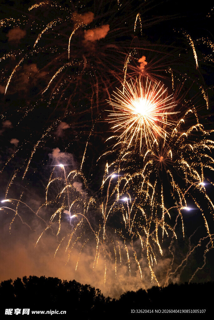 夜空中绚烂的烟花绽放