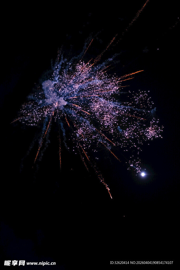 夜空中绚烂绽放的烟花