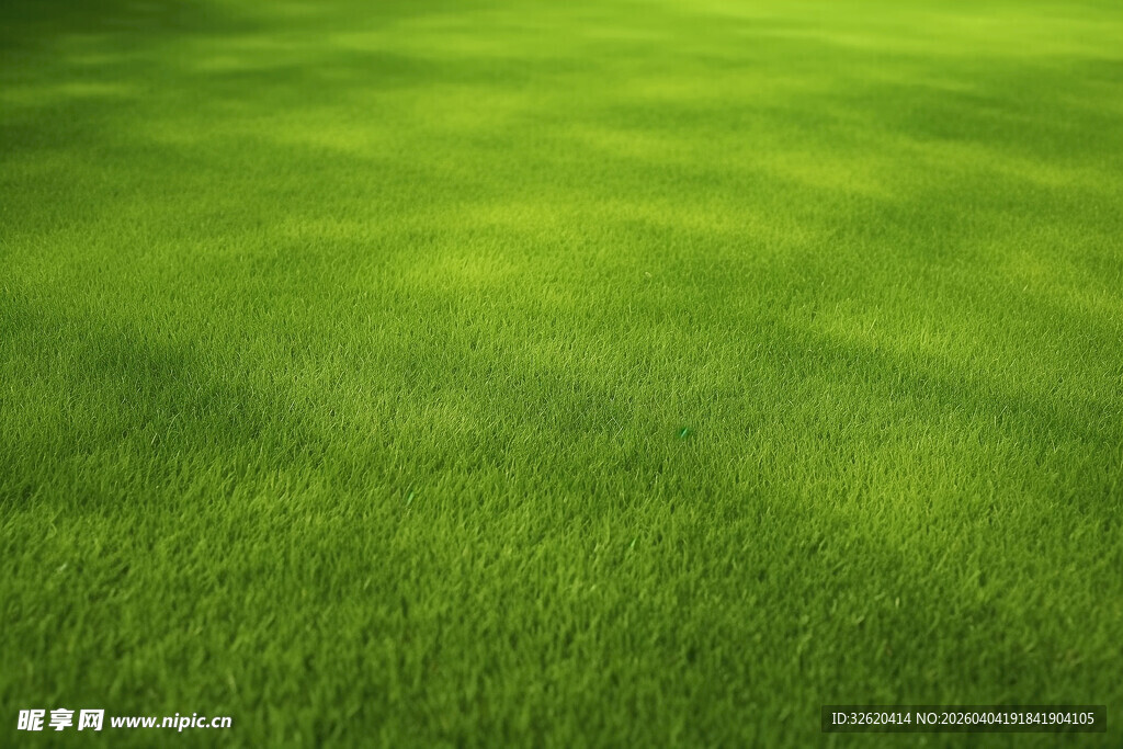 翠绿草地