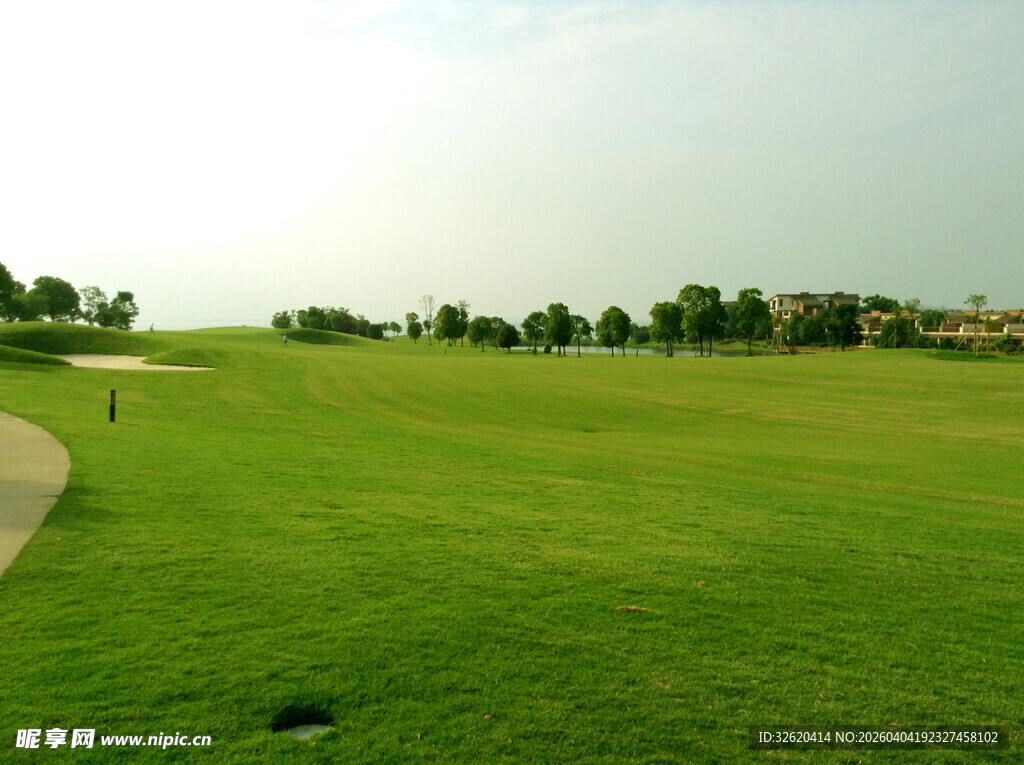 绿意盎然的草地