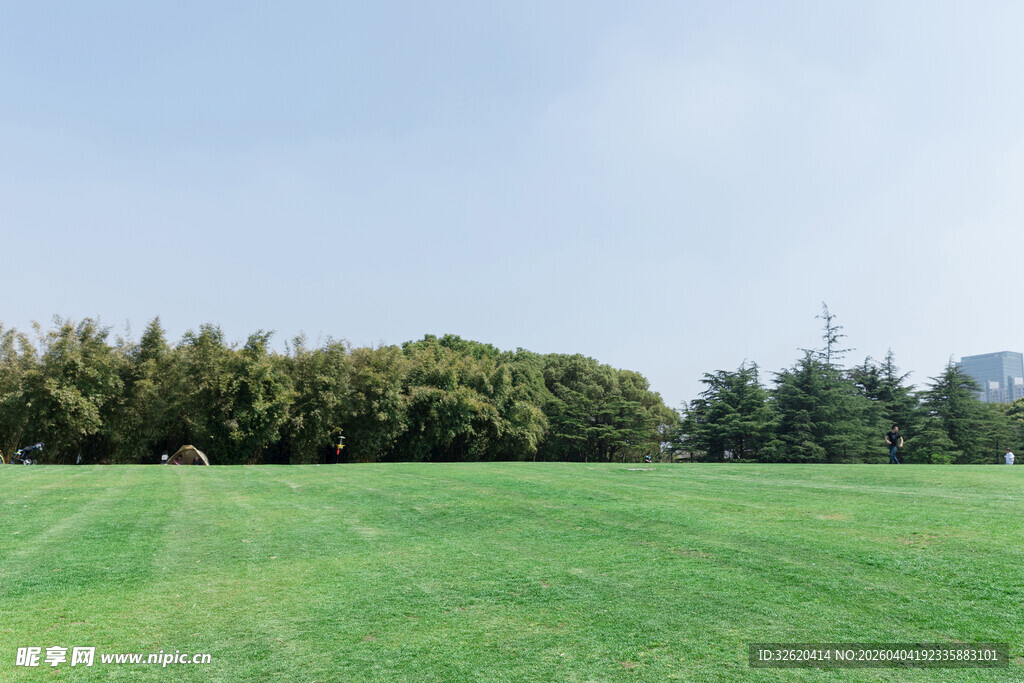 广阔绿草地与茂密树林