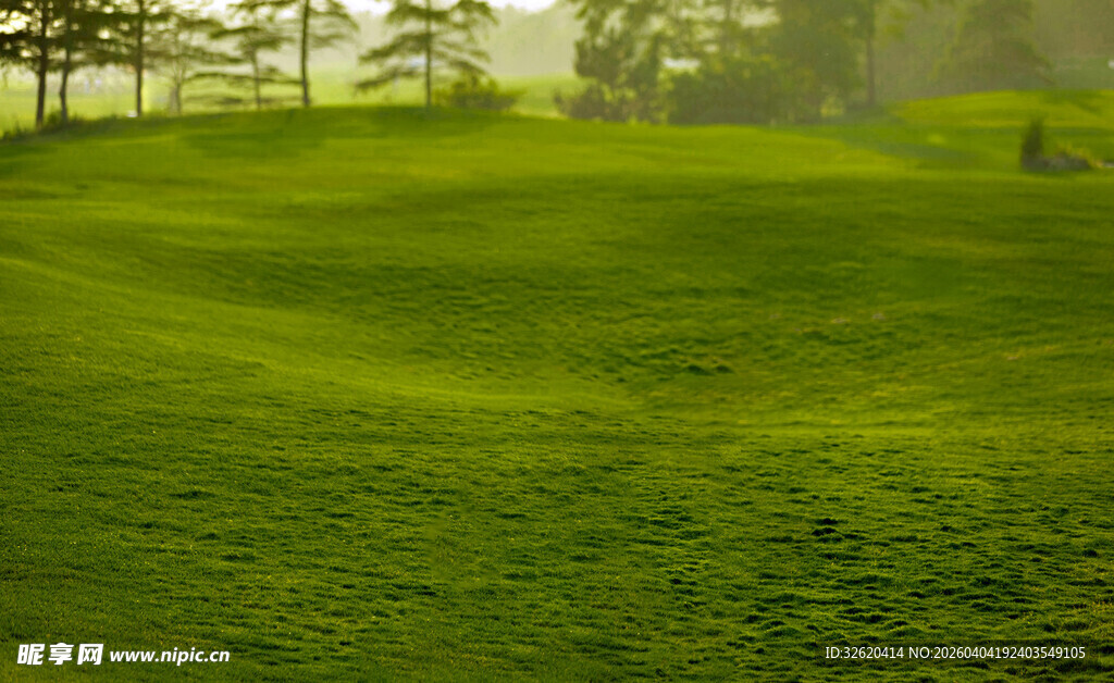 翠绿高尔夫球场美景