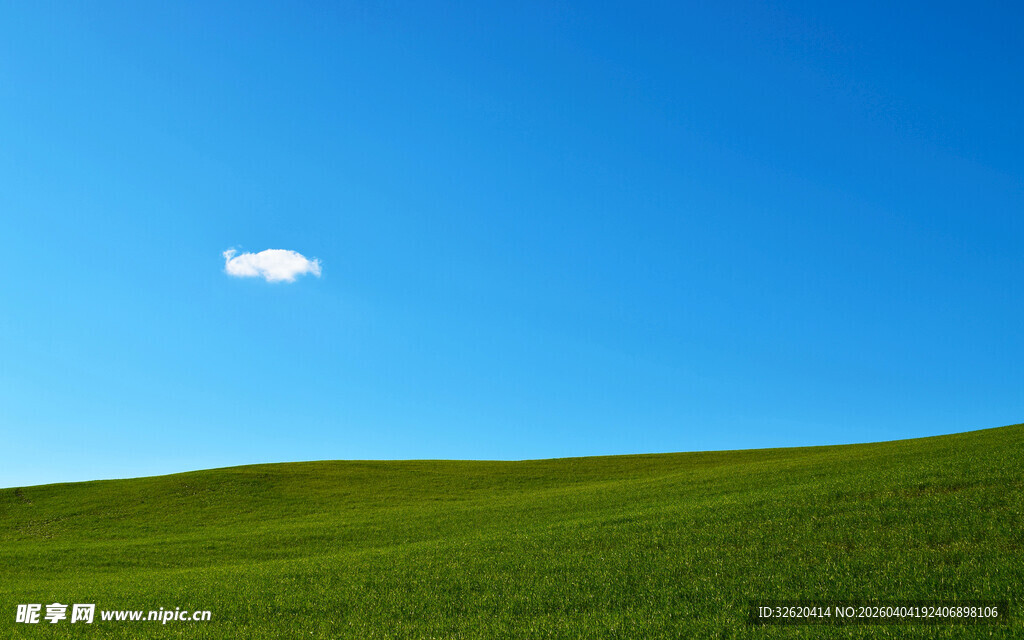 蓝天绿地间的一抹白云