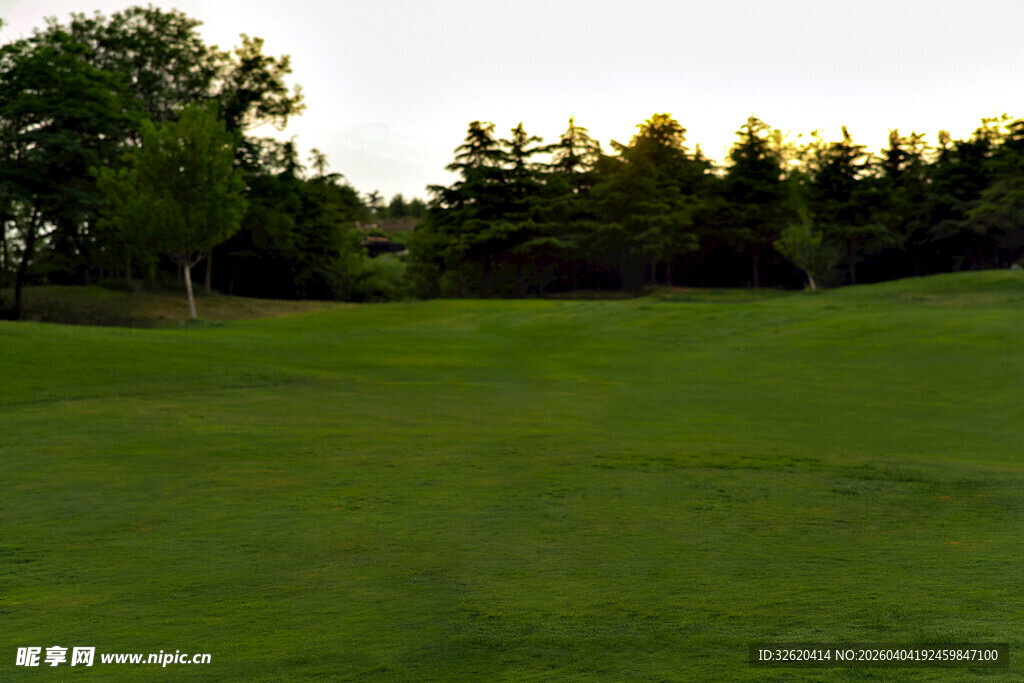 翠绿草坪与远处树林景观