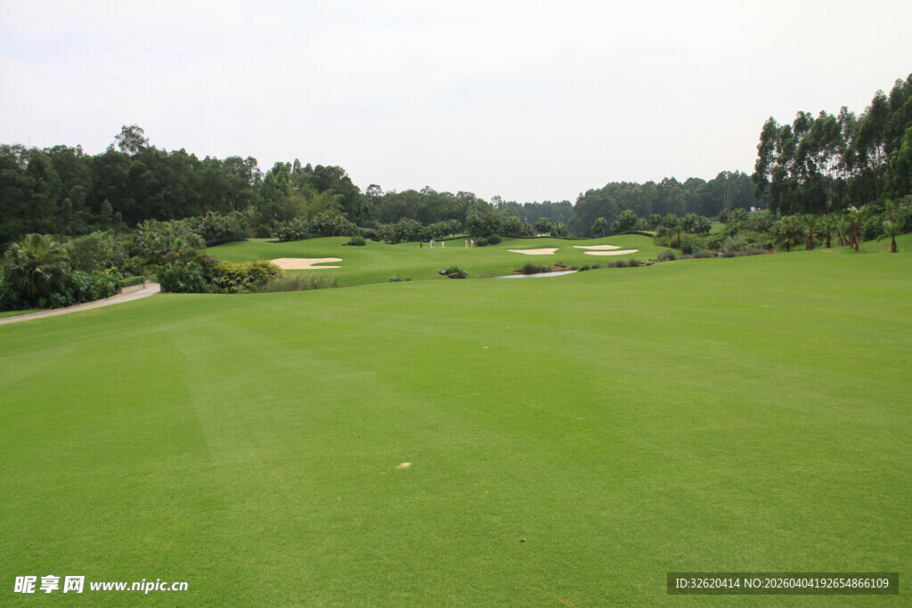 绿茵高尔夫球场美景