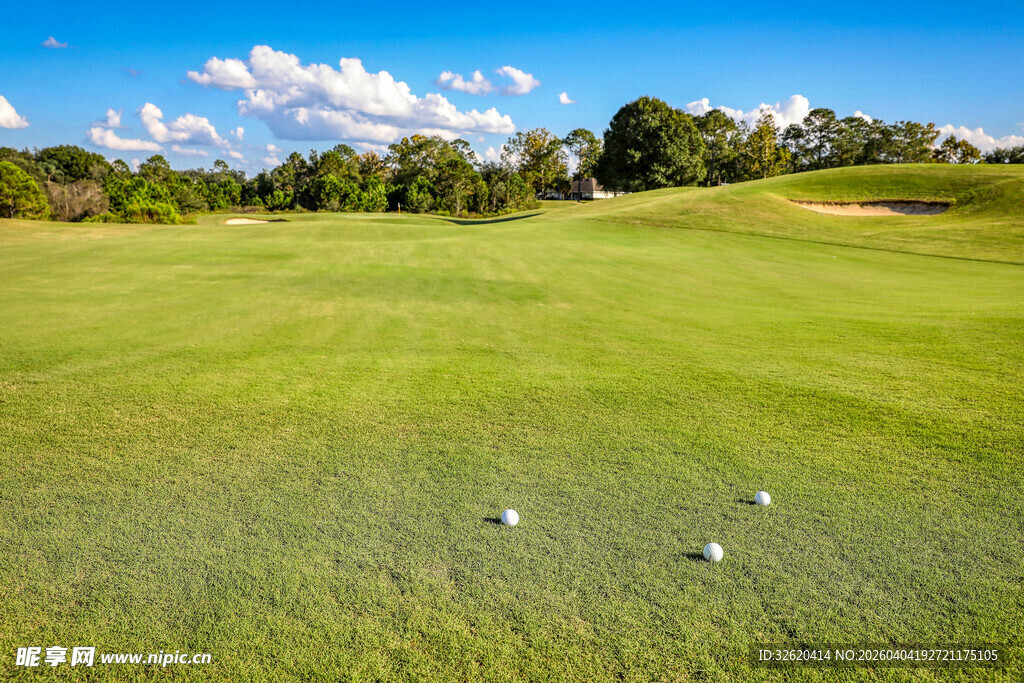 绿茵上的高尔夫球