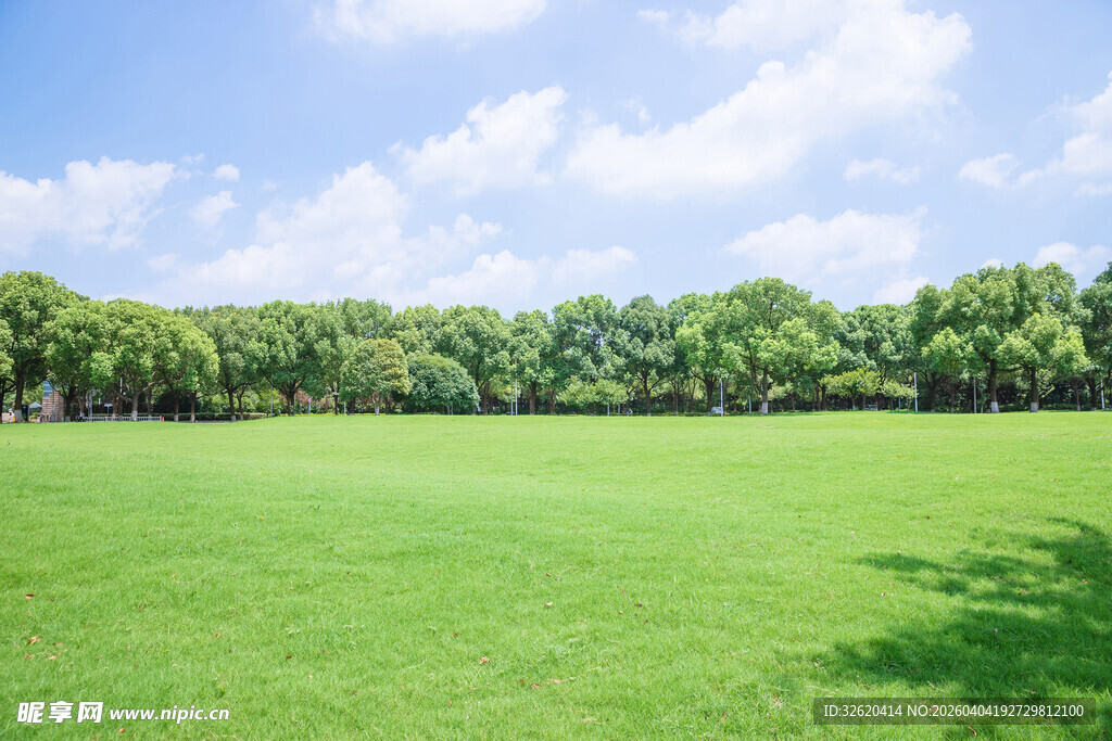 翠绿草地与蓝天绿树景致
