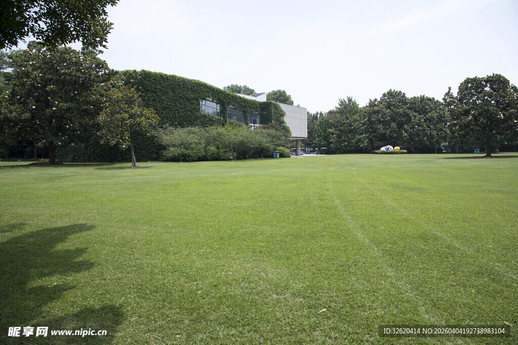 开阔绿草地与远处建筑