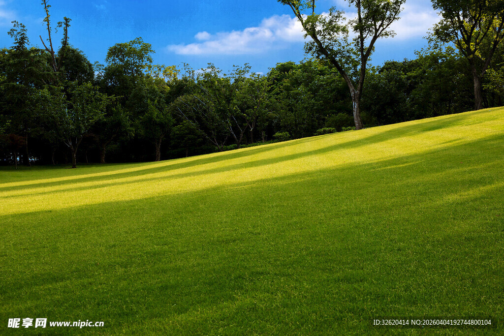 翠绿草坪与蓝天绿树美景
