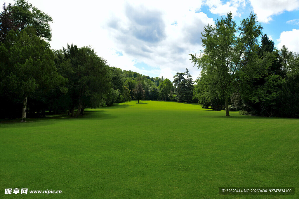 绿意盎然的高尔夫球场草地