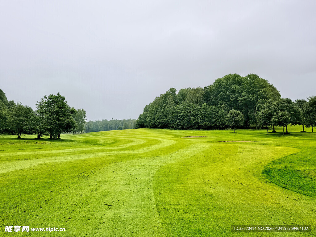 翠绿高尔夫球场风景