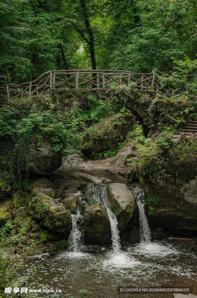 林间溪流上的木桥美景