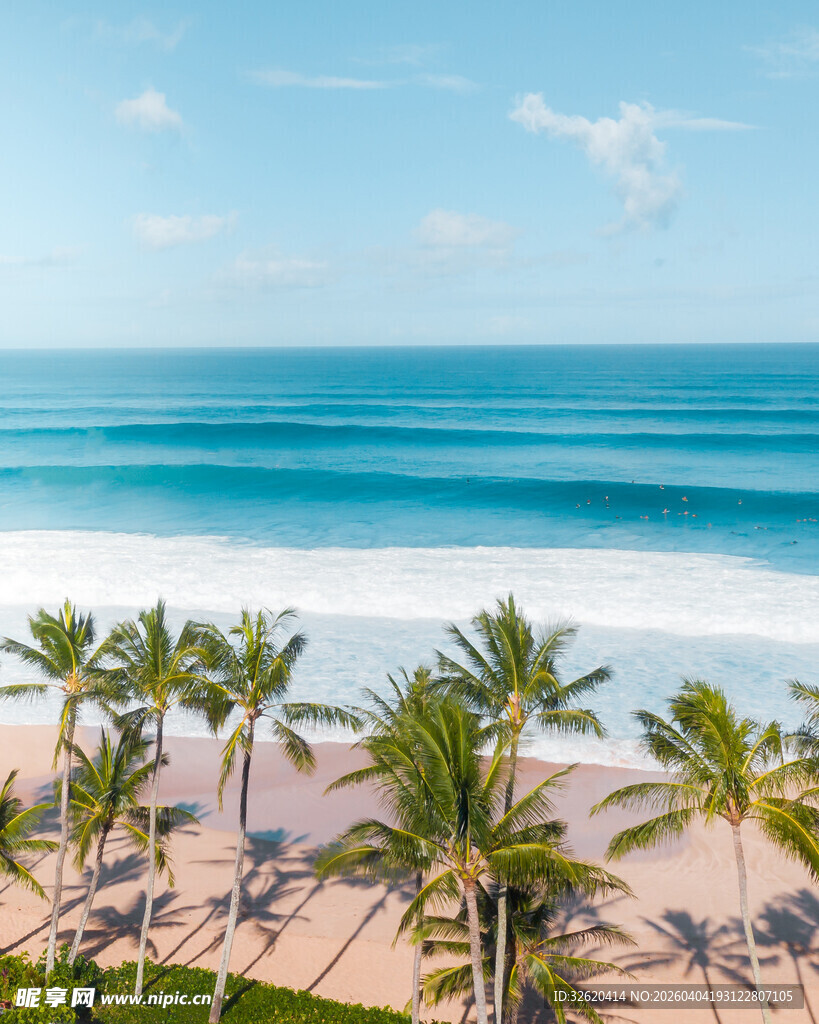 热带海滩椰林美景