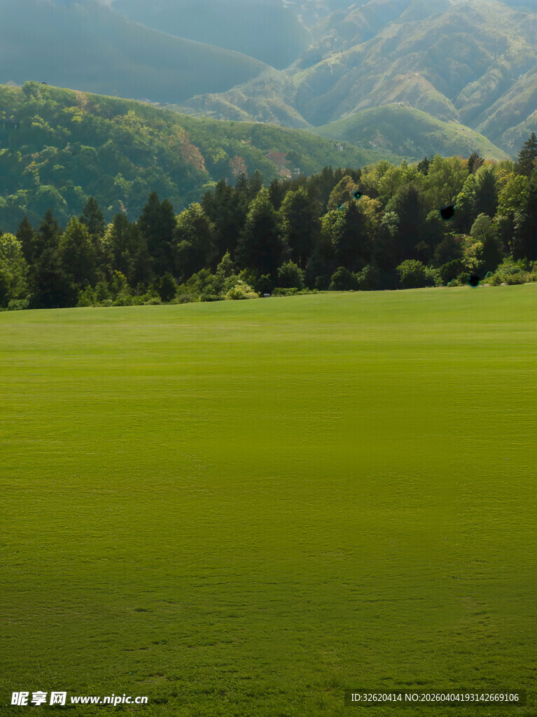 广袤绿野与葱郁山林美景