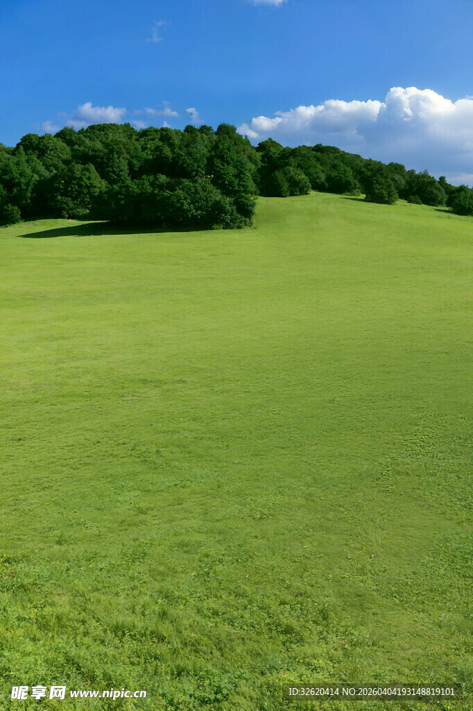 广袤绿草地与远处葱郁树林