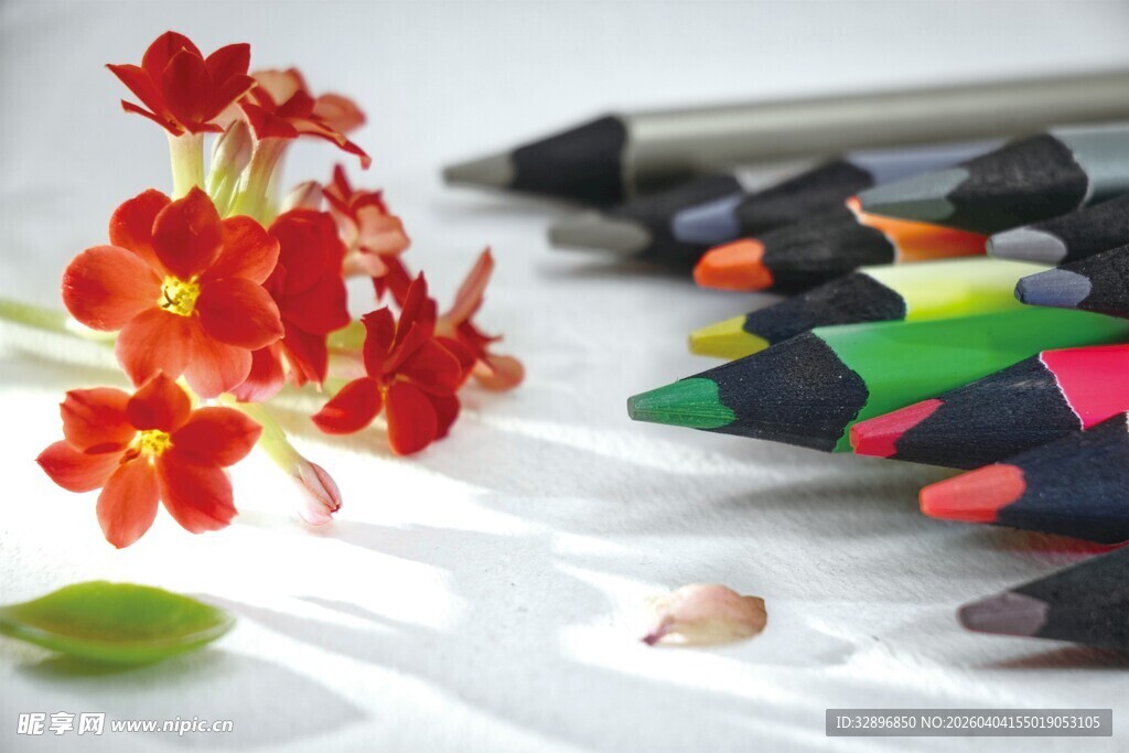 彩笔旁绽放的艳丽小花