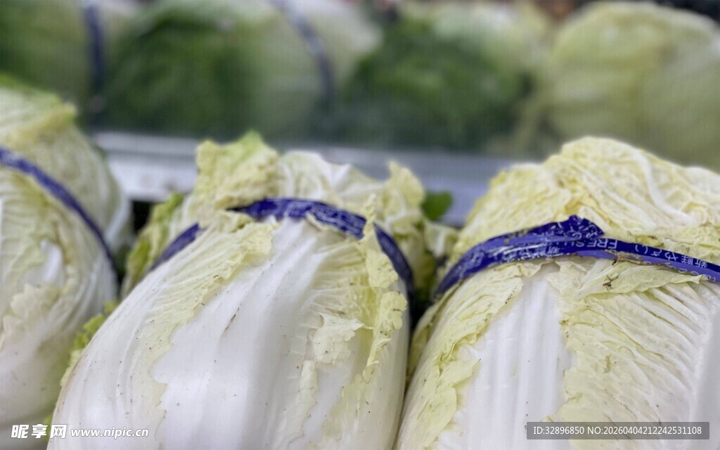 新鲜大白菜整齐摆放