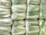 成袋卷心菜整齐堆放