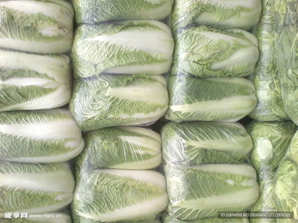 成袋卷心菜整齐堆放