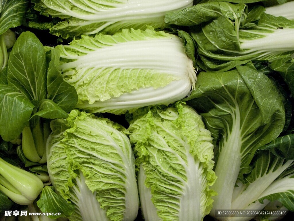 新鲜白菜堆叠