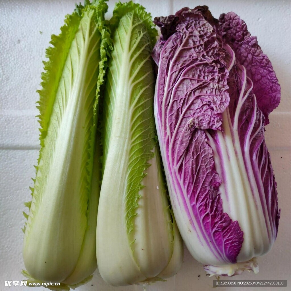 紫白双色白菜新鲜展示
