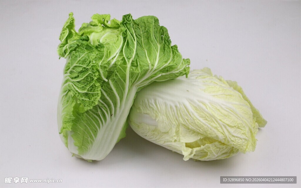 两颗鲜嫩的小白菜