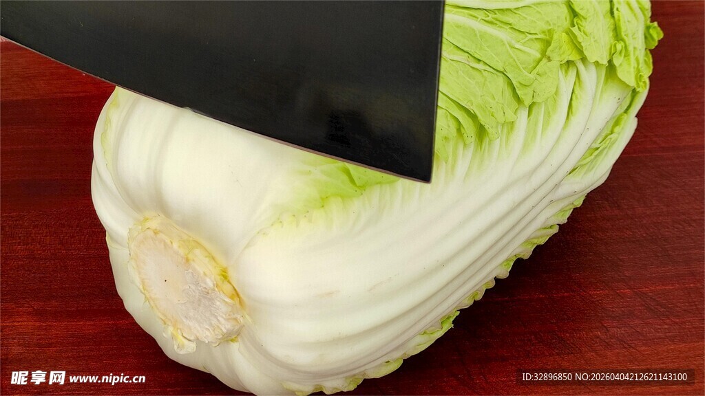刀切新鲜大白菜