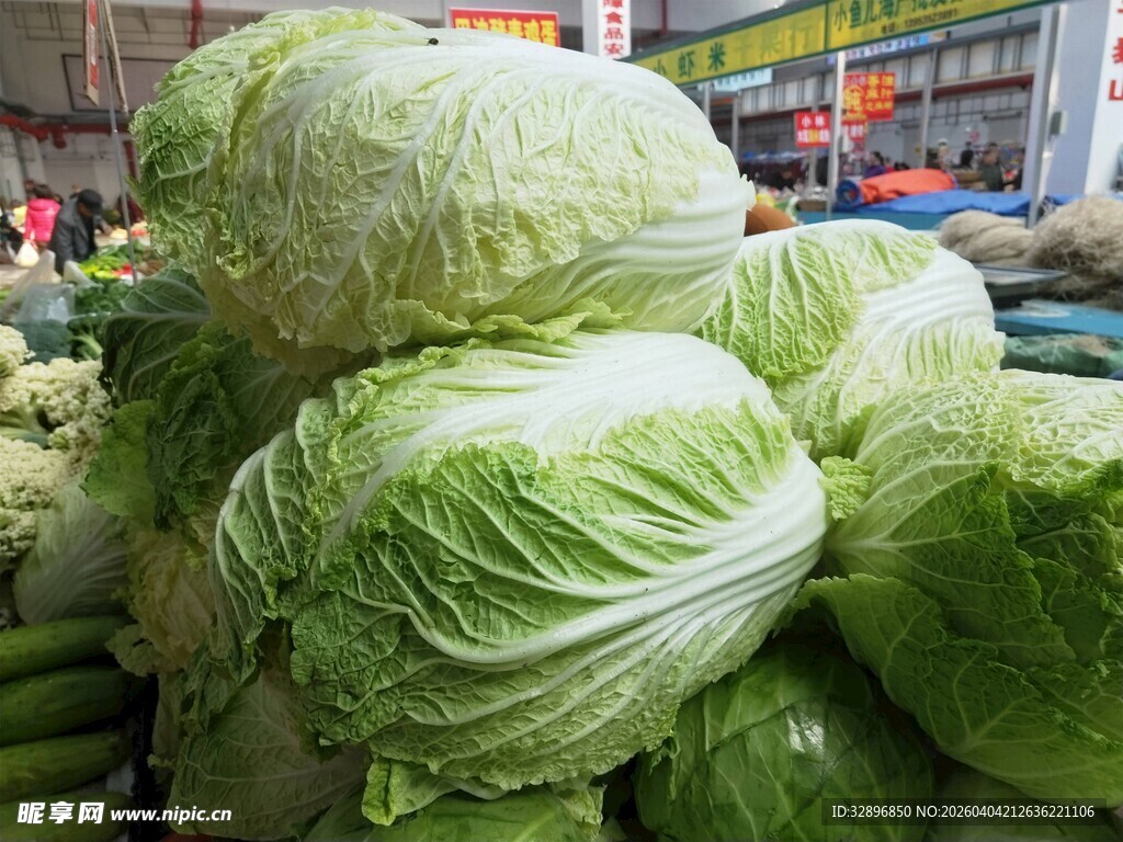 新鲜大白菜堆放在菜市场