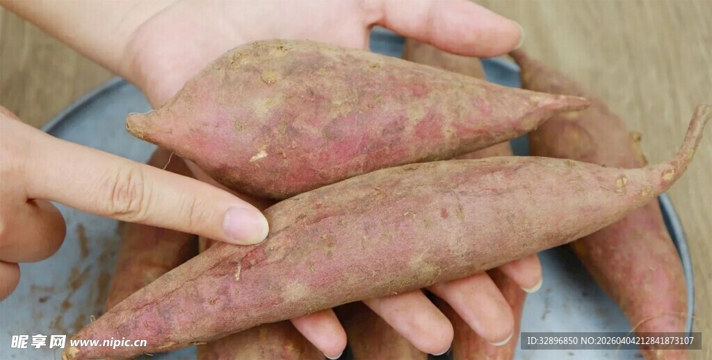 手中的新鲜红薯