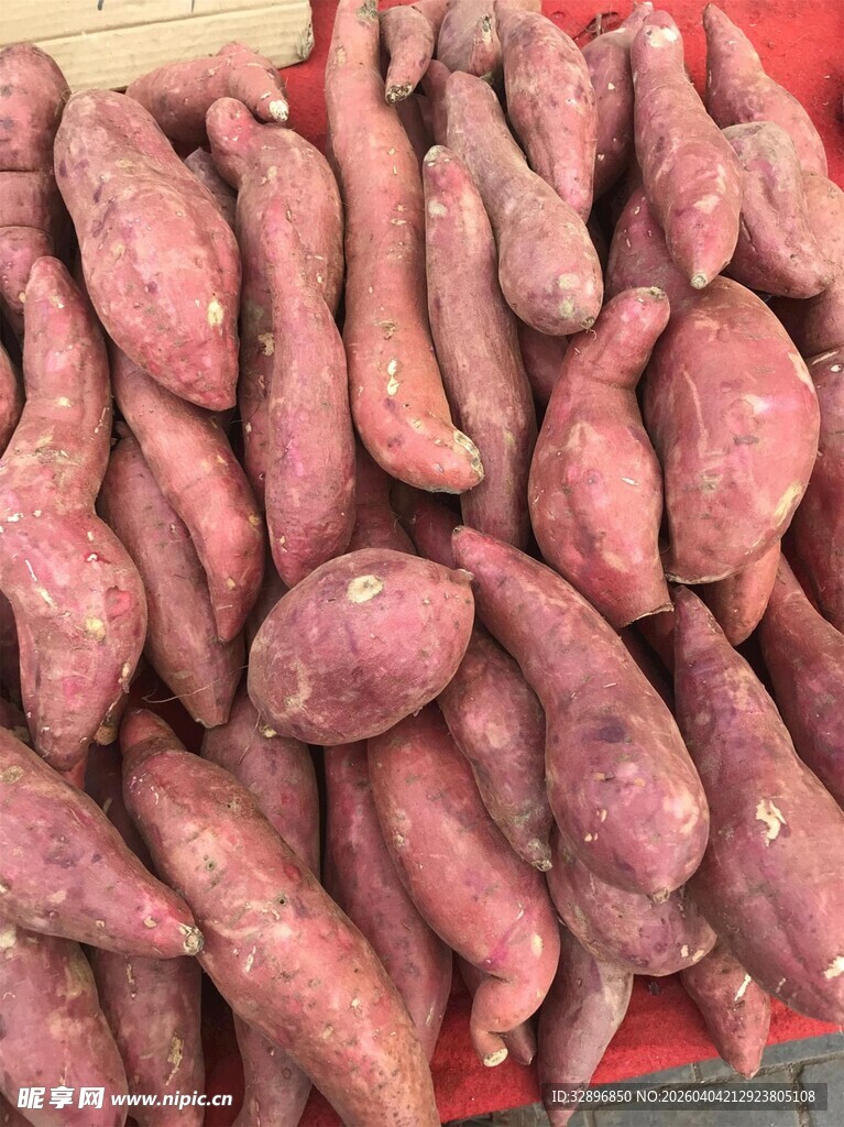 新鲜红薯堆成小山