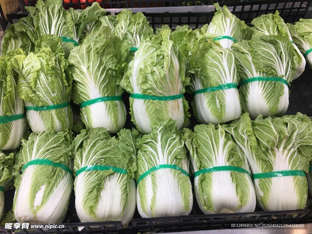 整齐摆放的新鲜小白菜