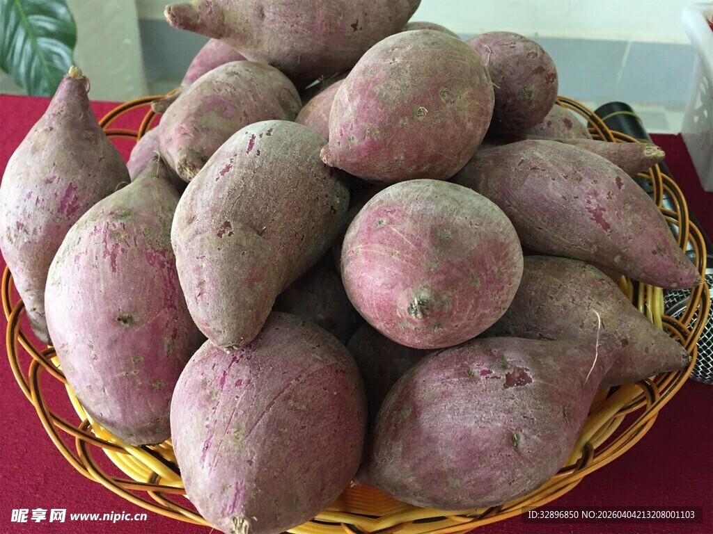 一篮新鲜红薯