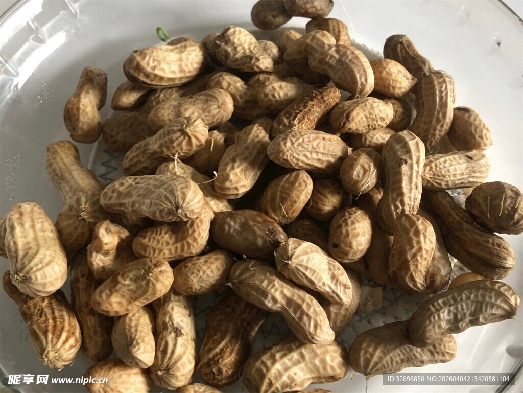 一盘饱满的带壳花生