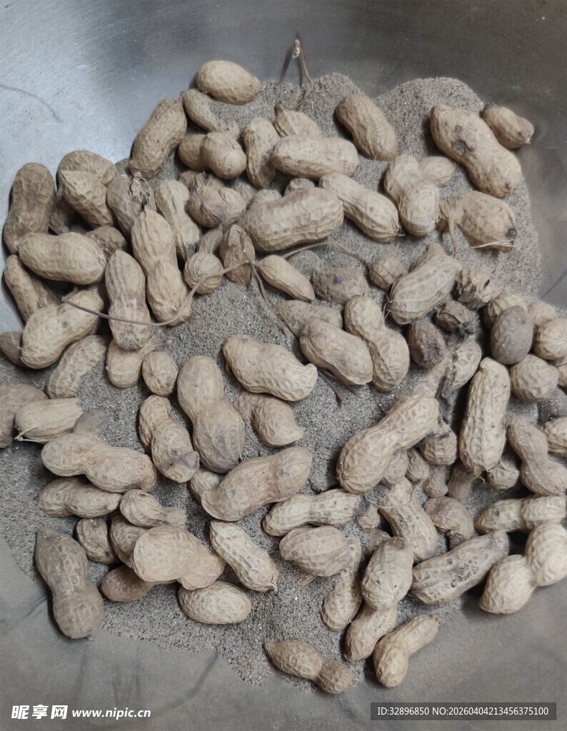 一堆浅棕色花生