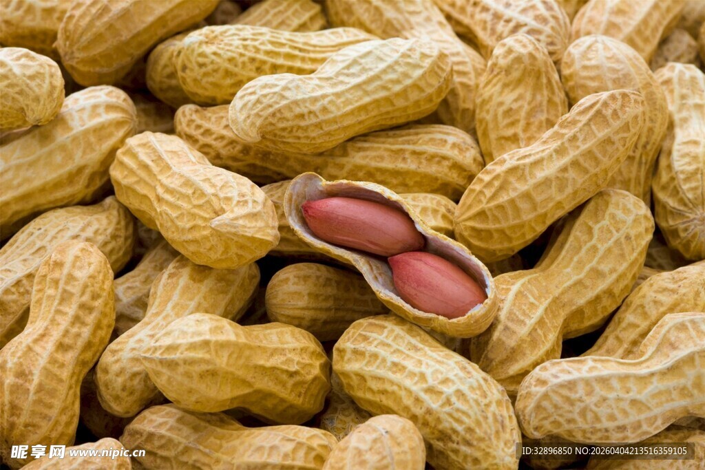 饱满花生堆一颗现果仁