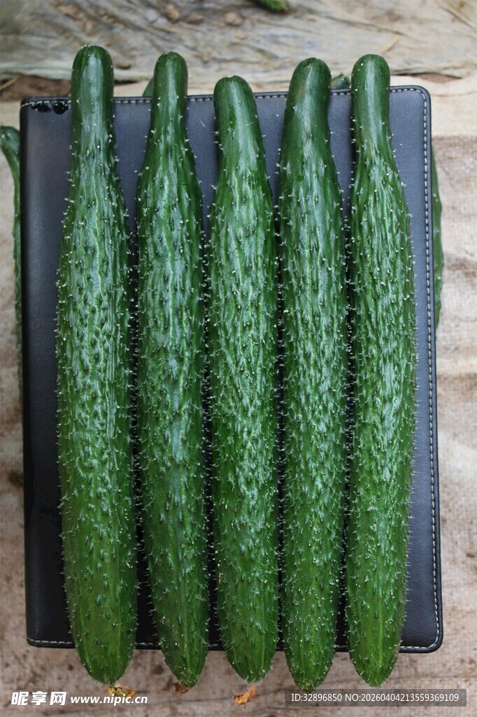 新鲜翠绿的一排黄瓜