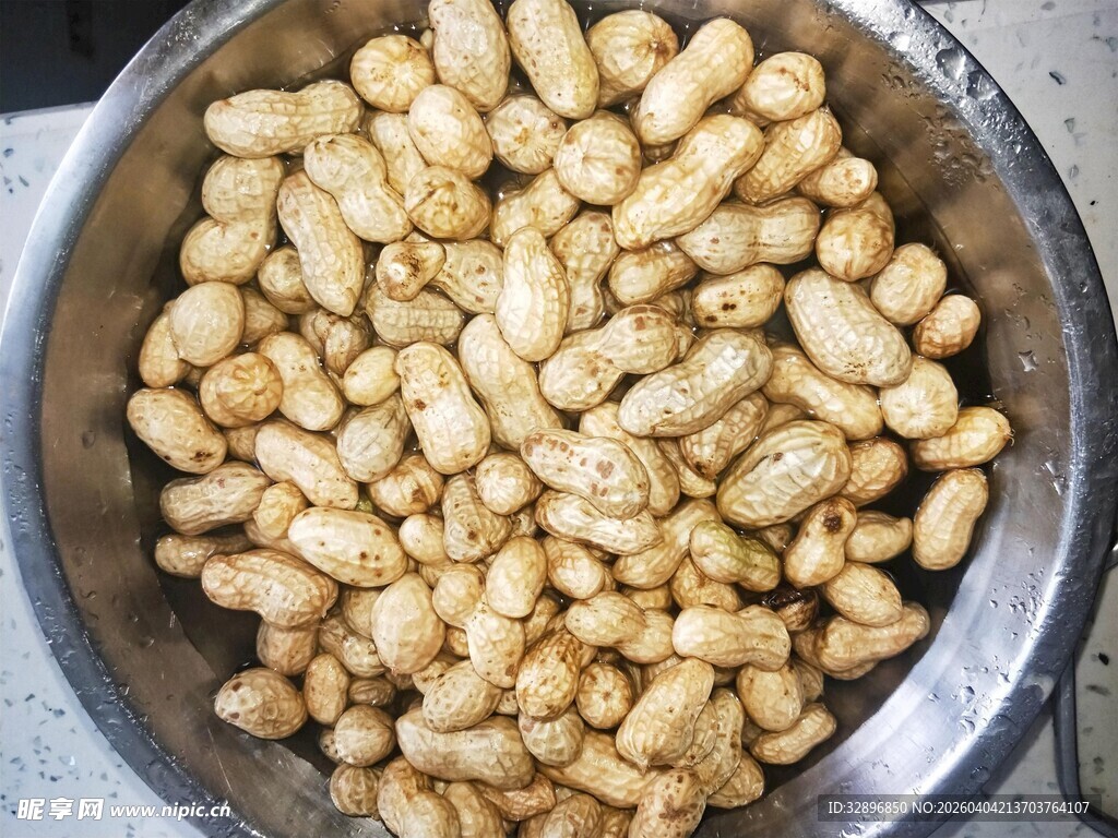 不锈钢盆中的饱满花生粒