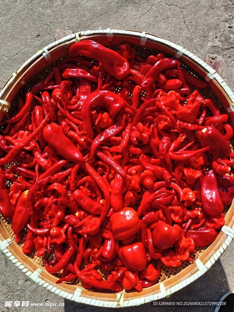 满满一盆鲜红辣椒碎