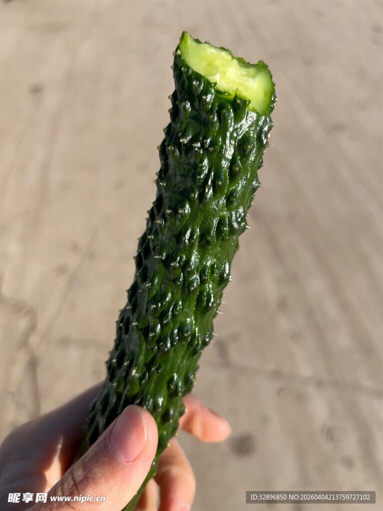 手持新鲜翠绿黄瓜