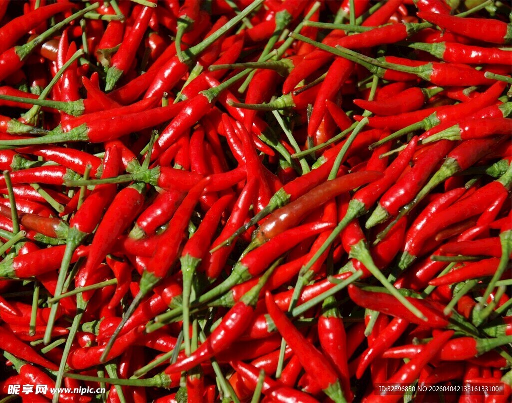 红辣椒特写