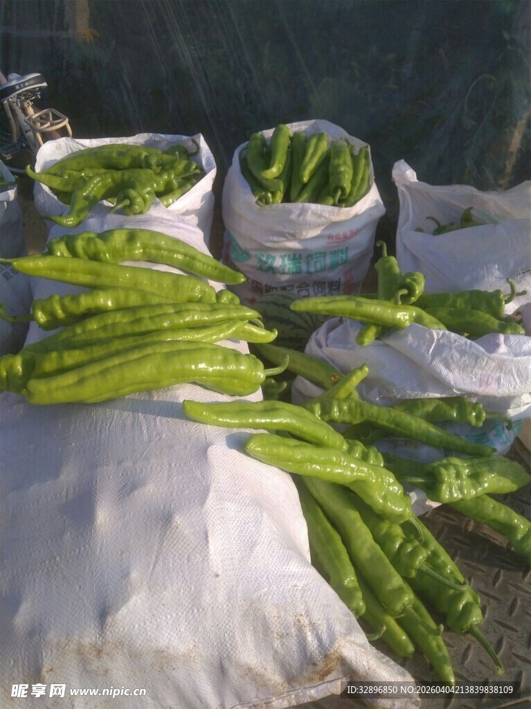 新鲜待售的长豆角堆放在一起