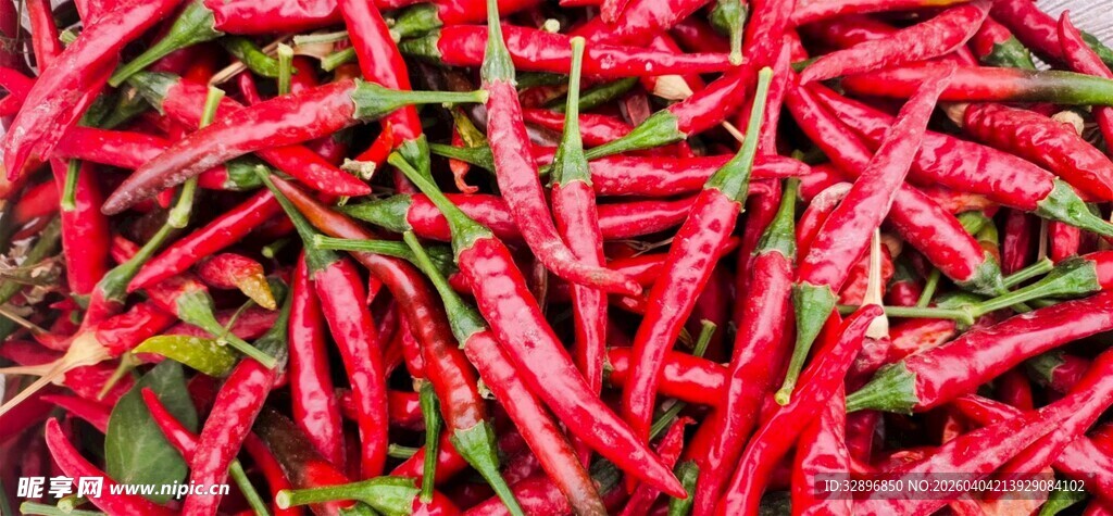红辣椒特写