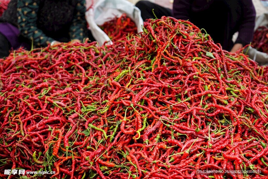一堆鲜艳红辣椒待售