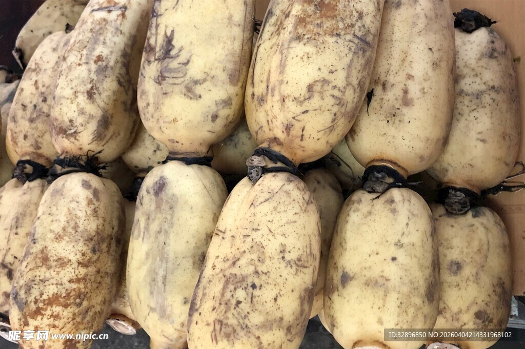 新鲜莲藕堆叠展示