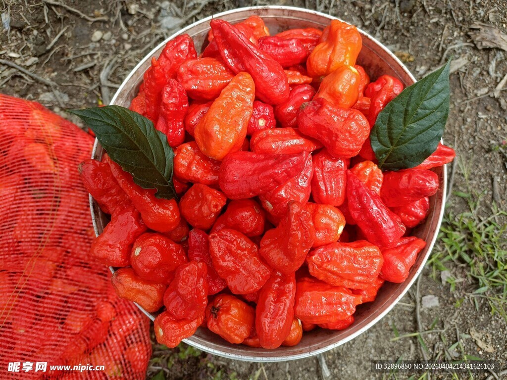 碗中鲜艳诱人的红辣椒